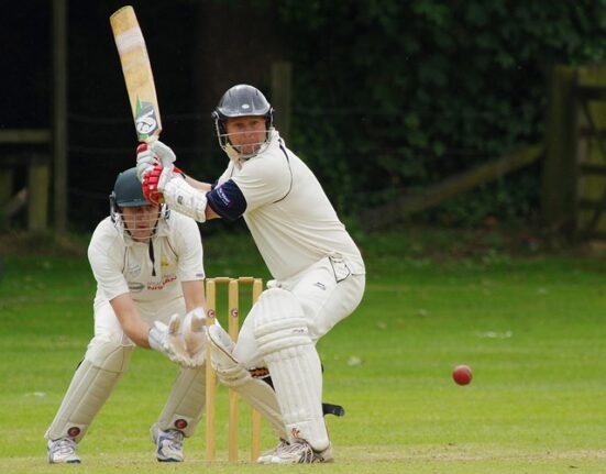 Best cricketers